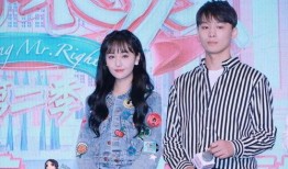 娱乐圈吃瓜直播间有哪些,揭秘明星幕后故事与热点事件